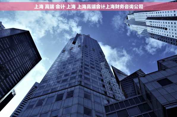上海 高端 会计 上海 上海高端会计上海财务咨询公司