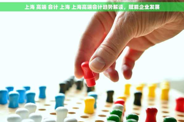 上海 高端 会计 上海 上海高端会计趋势解读，赋能企业发展