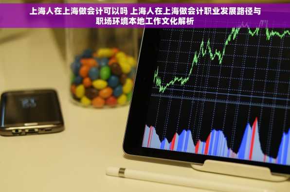 上海人在上海做会计可以吗 上海人在上海做会计职业发展路径与职场环境本地工作文化解析