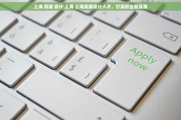 上海 高端 会计 上海 上海高端会计人才，打造职业新高度