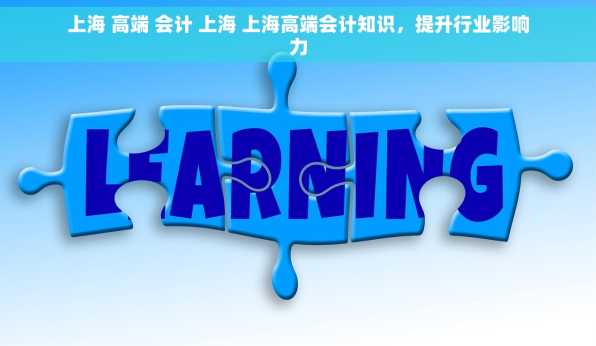 上海 高端 会计 上海 上海高端会计知识，提升行业影响力