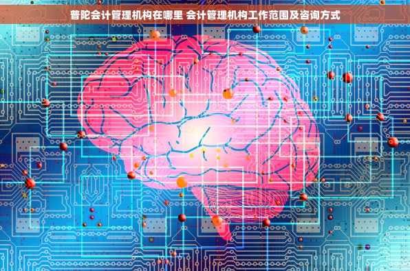 普陀会计管理机构在哪里 会计管理机构工作范围及咨询方式