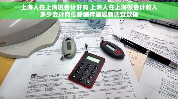 上海人在上海做会计好吗 上海人在上海做会计收入多少会计岗位薪酬待遇最新调查数据
