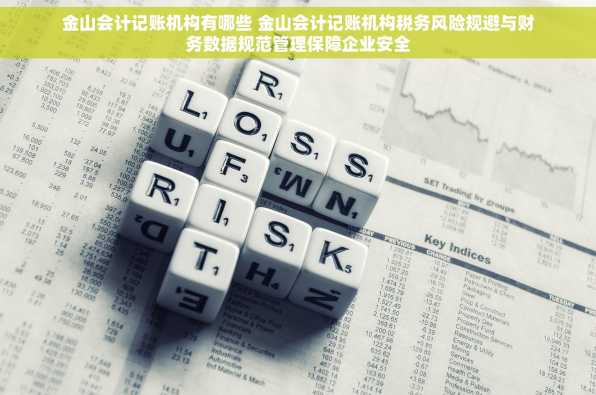 金山会计记账机构有哪些 金山会计记账机构税务风险规避与财务数据规范管理保障企业安全