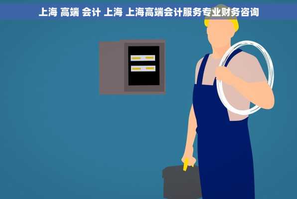 上海 高端 会计 上海 上海高端会计服务专业财务咨询