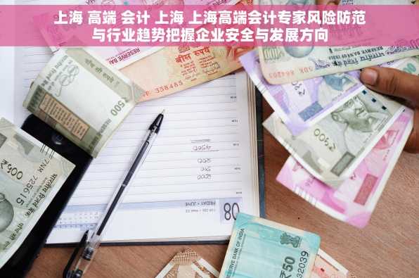 上海 高端 会计 上海 上海高端会计专家风险防范与行业趋势把握企业安全与发展方向