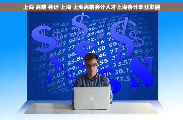 上海 高端 会计 上海 上海高端会计人才上海会计职业发展