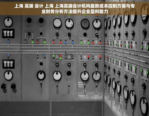 上海 高端 会计 上海 上海高端会计机构最新成本控制方案与专业财务分析方法提升企业盈利能力