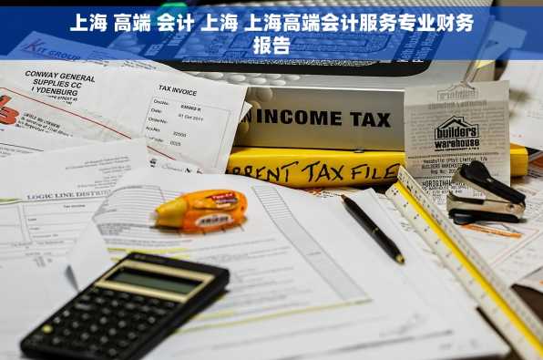 上海 高端 会计 上海 上海高端会计服务专业财务报告