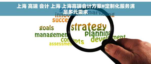 上海 高端 会计 上海 上海高端会计方案#定制化服务满足多元需求