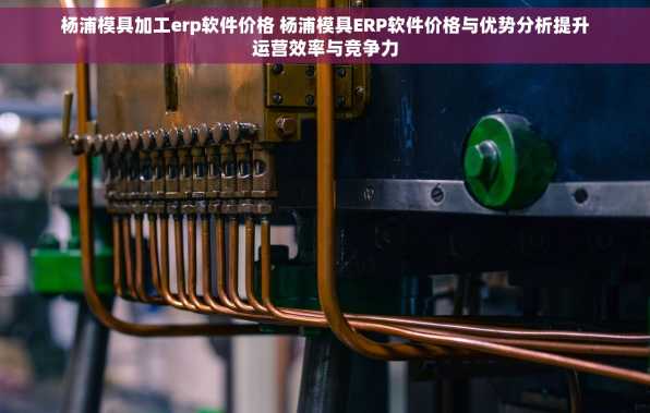杨浦模具加工erp软件价格 杨浦模具ERP软件价格与优势分析提升运营效率与竞争力