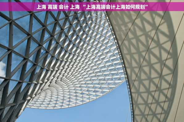 上海 高端 会计 上海 “上海高端会计上海如何规划”