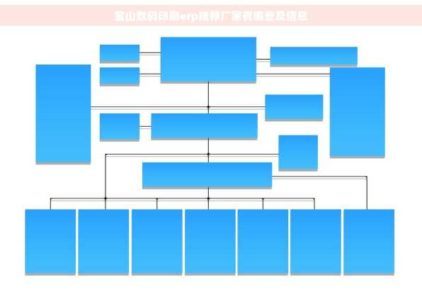 宝山数码印刷erp推荐厂家有哪些及信息