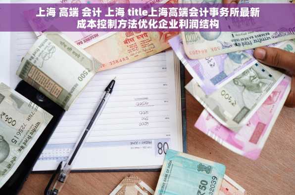 上海 高端 会计 上海 title上海高端会计事务所最新成本控制方法优化企业利润结构