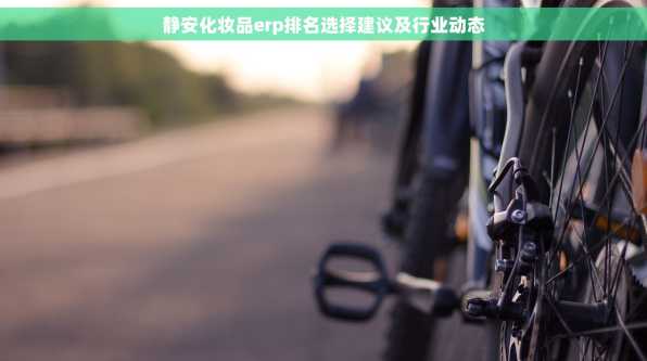 静安化妆品erp排名选择建议及行业动态