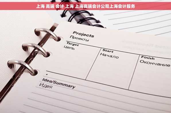上海 高端 会计 上海 上海高端会计公司上海会计服务