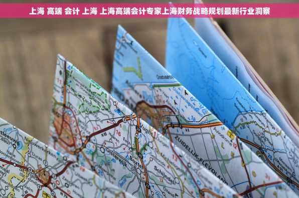 上海 高端 会计 上海 上海高端会计专家上海财务战略规划最新行业洞察