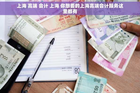 上海 高端 会计 上海 你想要的上海高端会计服务这里都有