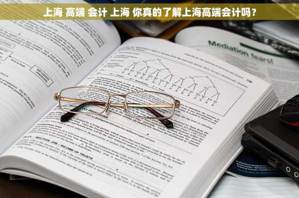 上海 高端 会计 上海 你真的了解上海高端会计吗？