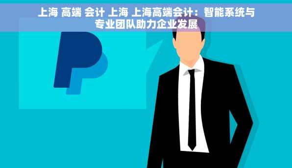 上海 高端 会计 上海 上海高端会计：智能系统与专业团队助力企业发展
