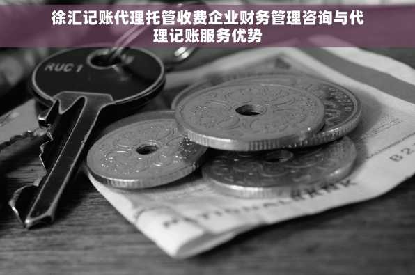 徐汇记账代理托管收费企业财务管理咨询与代理记账服务优势