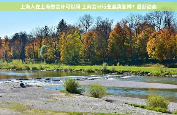 上海人在上海做会计可以吗 上海会计行业趋势怎样？最新动态