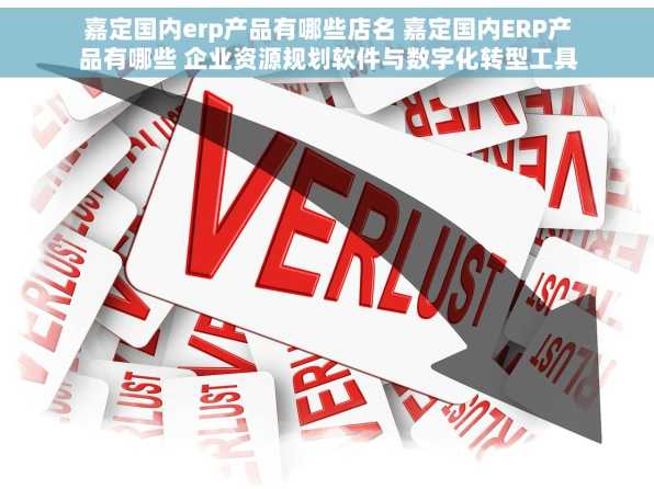 嘉定国内erp产品有哪些店名 嘉定国内ERP产品有哪些 企业资源规划软件与数字化转型工具