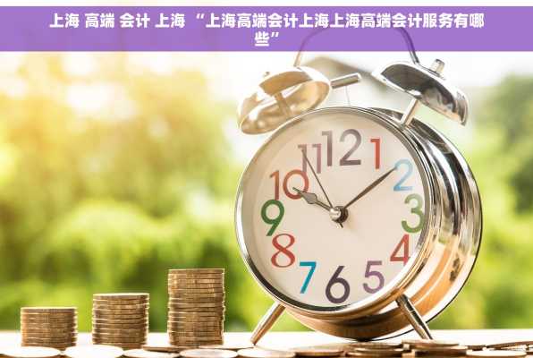 上海 高端 会计 上海 “上海高端会计上海上海高端会计服务有哪些”