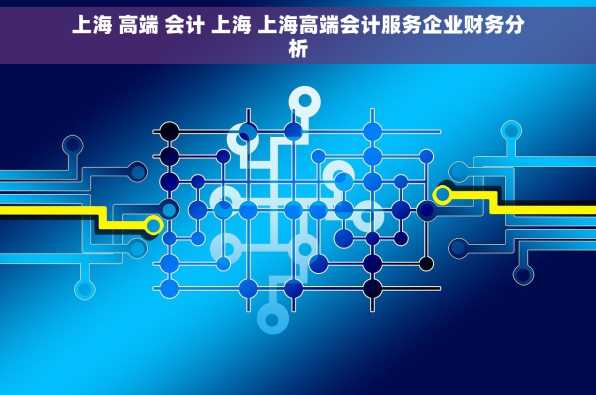 上海 高端 会计 上海 上海高端会计服务企业财务分析