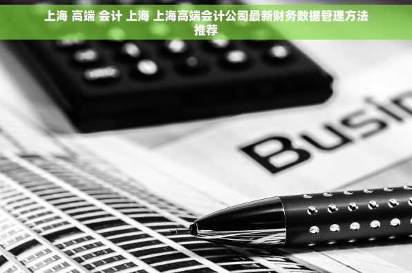 上海 高端 会计 上海 上海高端会计公司最新财务数据管理方法推荐