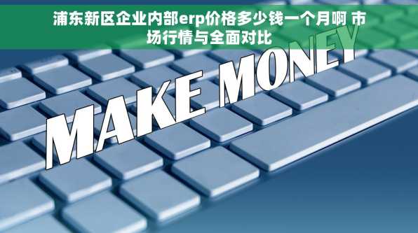 浦东新区企业内部erp价格多少钱一个月啊 市场行情与全面对比