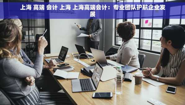 上海 高端 会计 上海 上海高端会计：专业团队护航企业发展