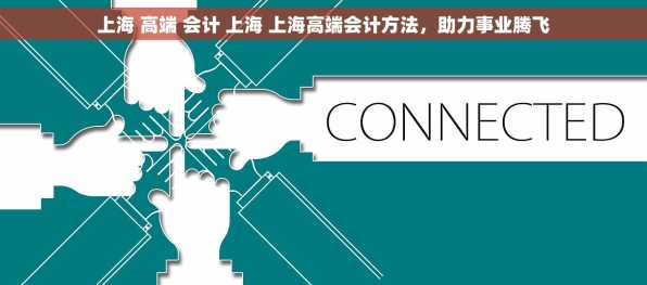 上海 高端 会计 上海 上海高端会计方法，助力事业腾飞