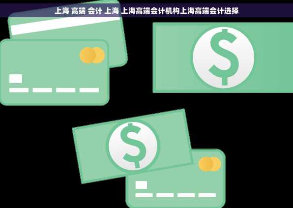 上海 高端 会计 上海 上海高端会计机构上海高端会计选择