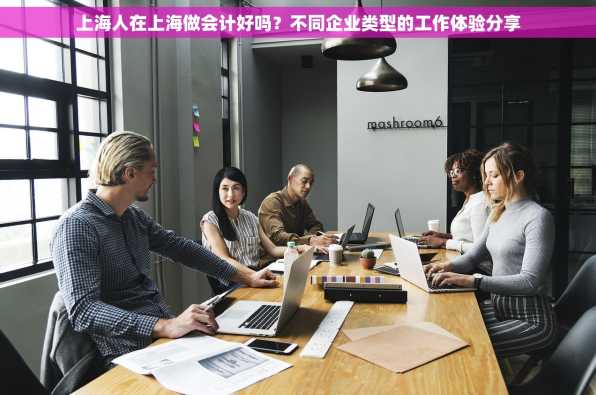上海人在上海做会计好吗？不同企业类型的工作体验分享