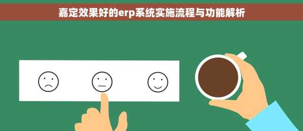 嘉定效果好的erp系统实施流程与功能解析