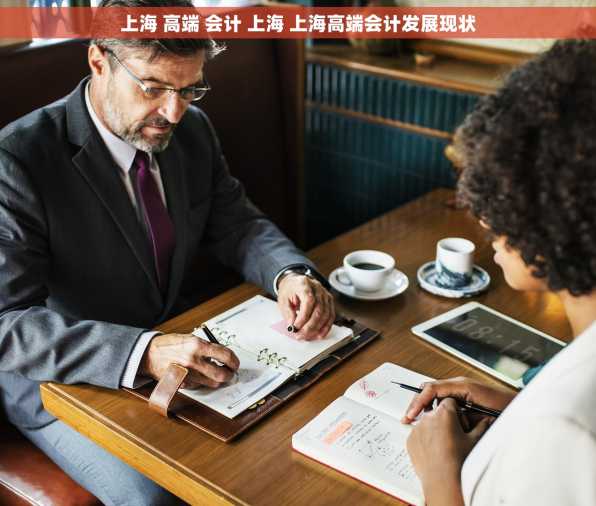 上海 高端 会计 上海 上海高端会计发展现状