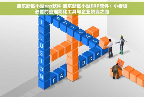 浦东新区小型erp软件 浦东新区小型ERP软件：小老板必看的管理简化工具与企业蜕变之路