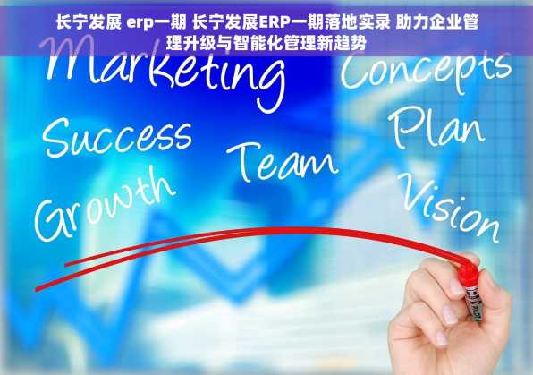 长宁发展 erp一期 长宁发展ERP一期落地实录 助力企业管理升级与智能化管理新趋势