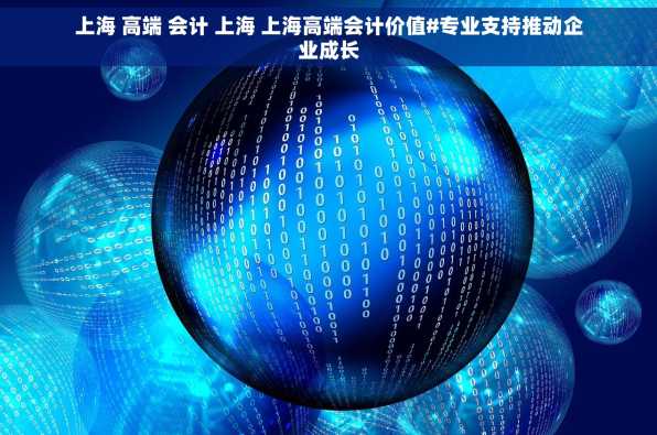 上海 高端 会计 上海 上海高端会计价值#专业支持推动企业成长