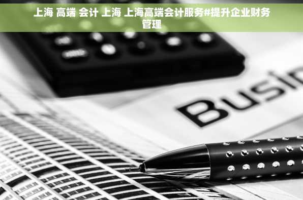 上海 高端 会计 上海 上海高端会计服务#提升企业财务管理