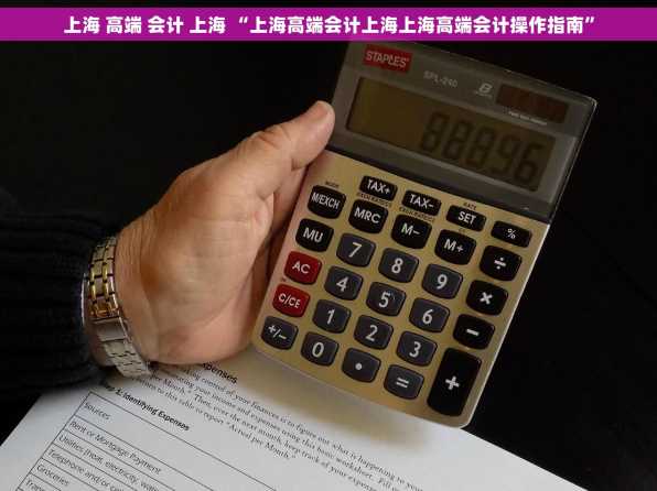 上海 高端 会计 上海 “上海高端会计上海上海高端会计操作指南”