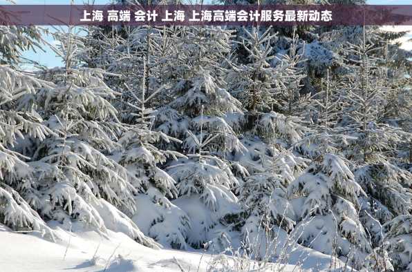 上海 高端 会计 上海 上海高端会计服务最新动态