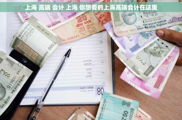 上海 高端 会计 上海 你想要的上海高端会计在这里