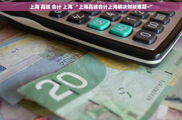 上海 高端 会计 上海 “上海高端会计上海解决财税难题~”