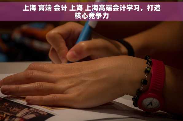 上海 高端 会计 上海 上海高端会计学习，打造核心竞争力