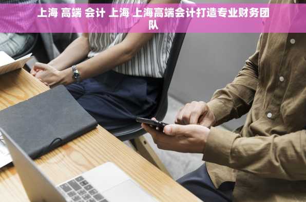 上海 高端 会计 上海 上海高端会计打造专业财务团队