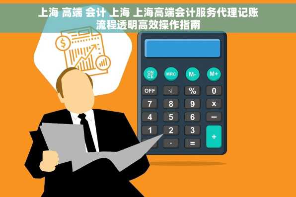 上海 高端 会计 上海 上海高端会计服务代理记账流程透明高效操作指南