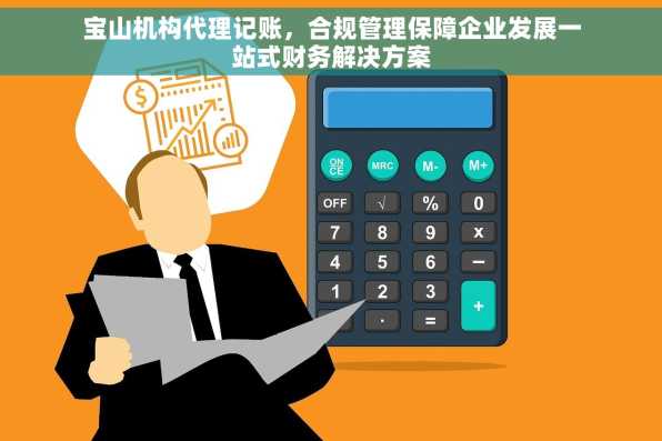宝山机构代理记账，合规管理保障企业发展一站式财务解决方案