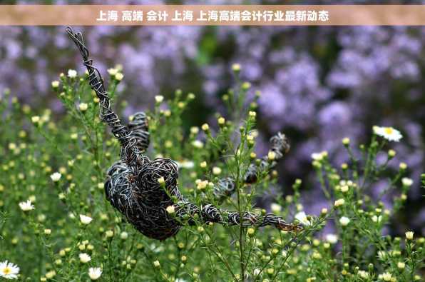 上海 高端 会计 上海 上海高端会计行业最新动态